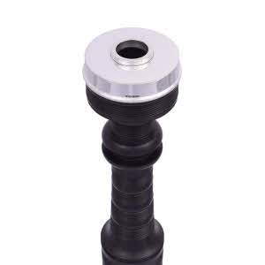 PH03-Ringcap