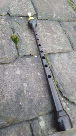 Plug And Play G1 Blackwood Chanter